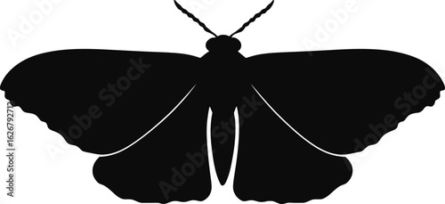 Vector art of silhouette of a moth with detailed wings creating a simple yet elegant design for various creative projects