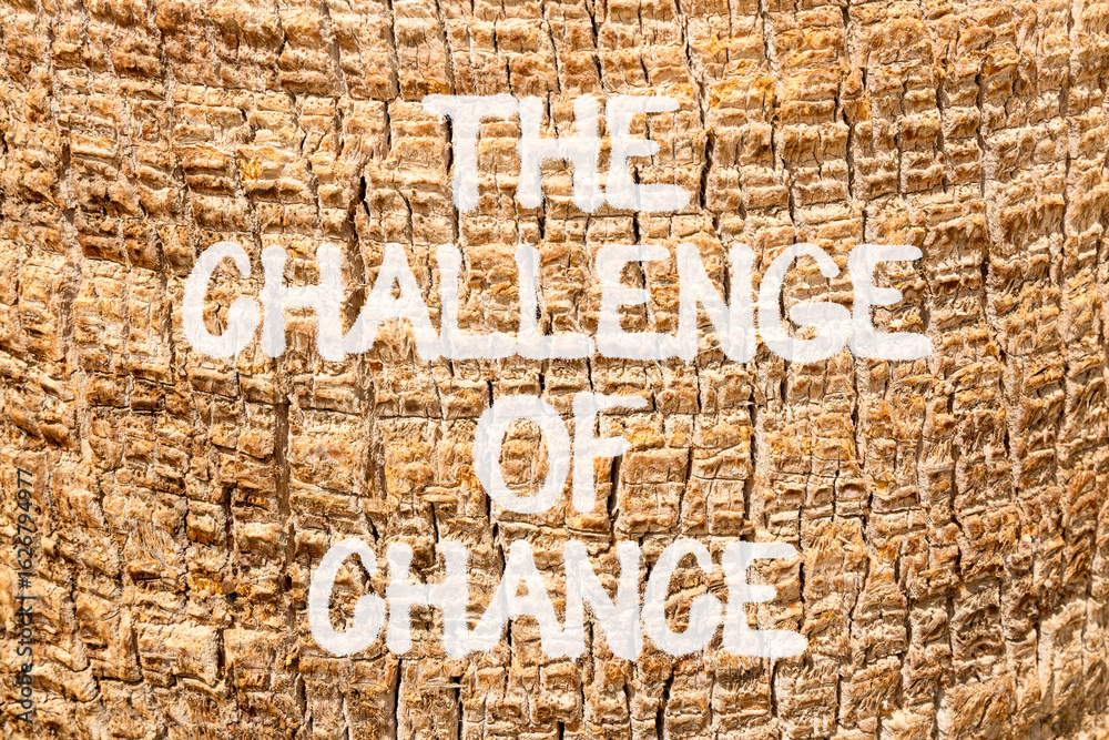 Obraz premium The challenge of chance symbol. Concept words phrase The challenge of chance on beautiful palm tree bark. Beautiful palm tree bark background. Business The challenge of chance concept. Copy space.