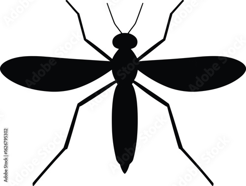 Illustration of a mosquito in black and white representing a dangerous insect that can transmit diseases