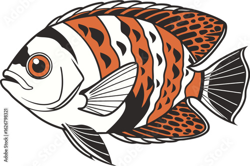 Adobe Illustrator Oscar fish side view detailed