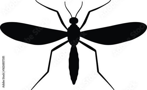 Vector art of silhouette vector of a mosquito a common pest that transmits diseases such as malaria and zika virus