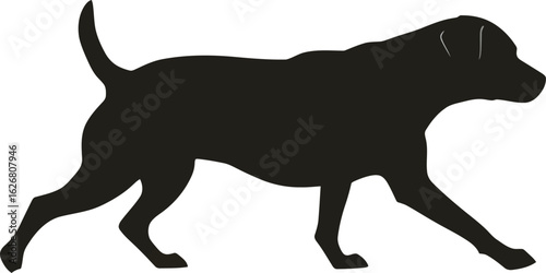 Vector art of silhouette of a dog walking gracefully showcasing its sleek form and muscular build against a neutral backdrop creating a striking visual