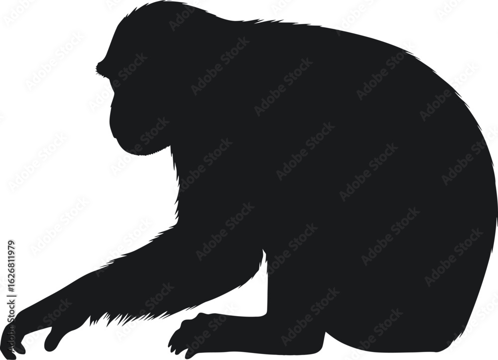 Obraz premium Vector art of silhouette of a monkey sitting down with its arm extended in a simple and elegant vector illustration