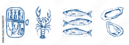 Photography Mediterranean italian fish, sardines, lobster vintage line drawing, decorative s