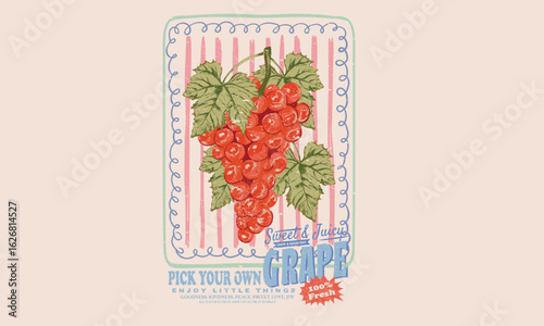 Summer food poster design. Grape fruit artwork. Fresh grapes fruit print. Nature watercolor design.