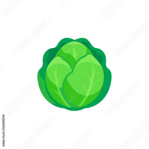 Green cabbage vegetable isolated on transparent background