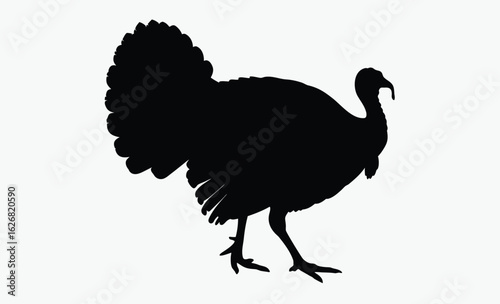 Turkey bird silhouette, wild fowl outline, poultry black vector, farm animal clipart