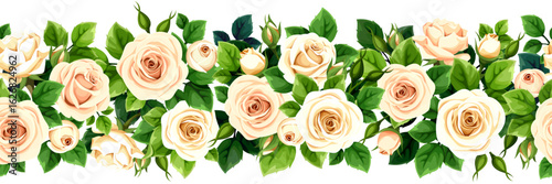 Floral seamless border with white rose flowers and green leaves. Vector seamless floral garland
