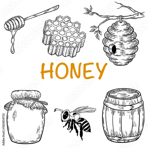 Honey jar, barrel, spoon, bee, honeycomb, chamomile, vintage set. Engraved organic food hand drawn sketch illustration. Black isolated on white background.