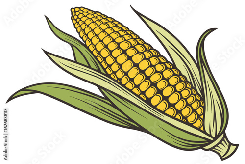 Illustration of a ripe ear of corn with green leaves a staple crop and a popular vegetable