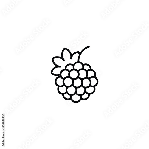 A boysenberry Fruits icon line art vector illustration.