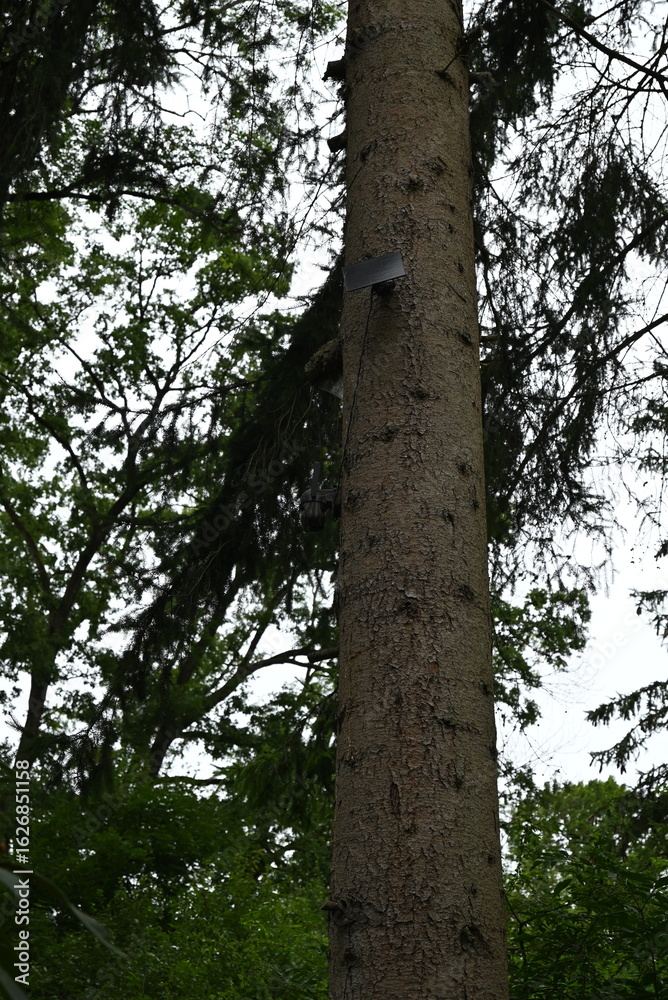 Fototapeta premium Solar Überwachungskamera in der Natur