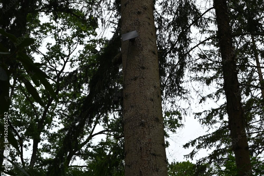 Fototapeta premium Solar Überwachungskamera in der Natur
