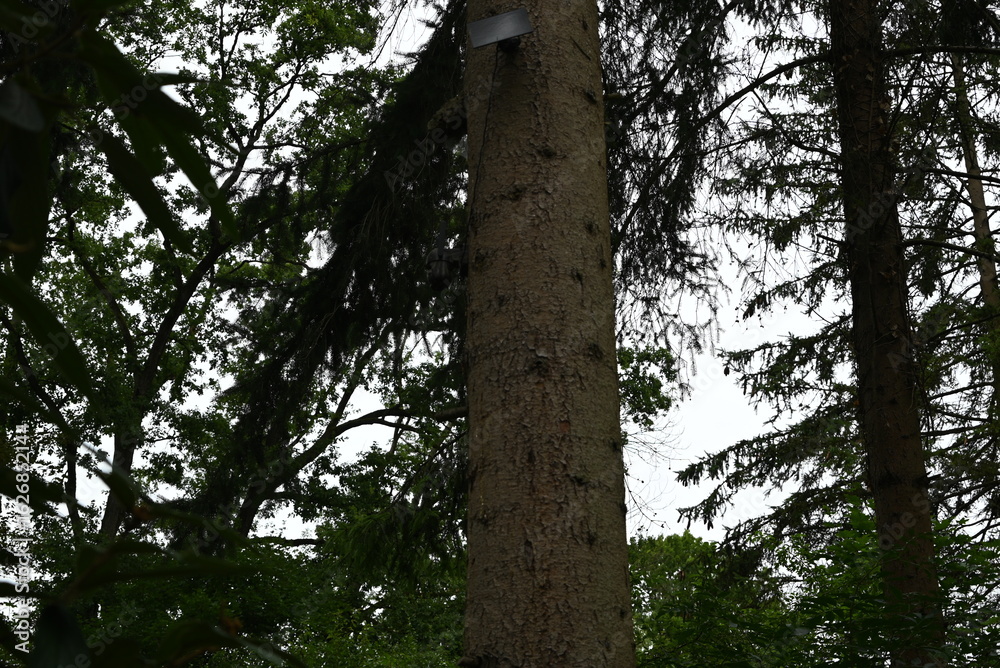 Fototapeta premium Solar Überwachungskamera in der Natur