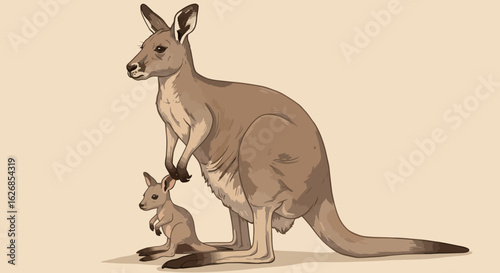 Illustrated Kangaroo with Joey Australian Wildlife Marsupial Family.