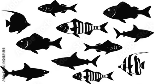 Cad drawing flat vector illustration of assorted black fish icons, silhouette set of various species, aquatic animals, graphic marine symbols