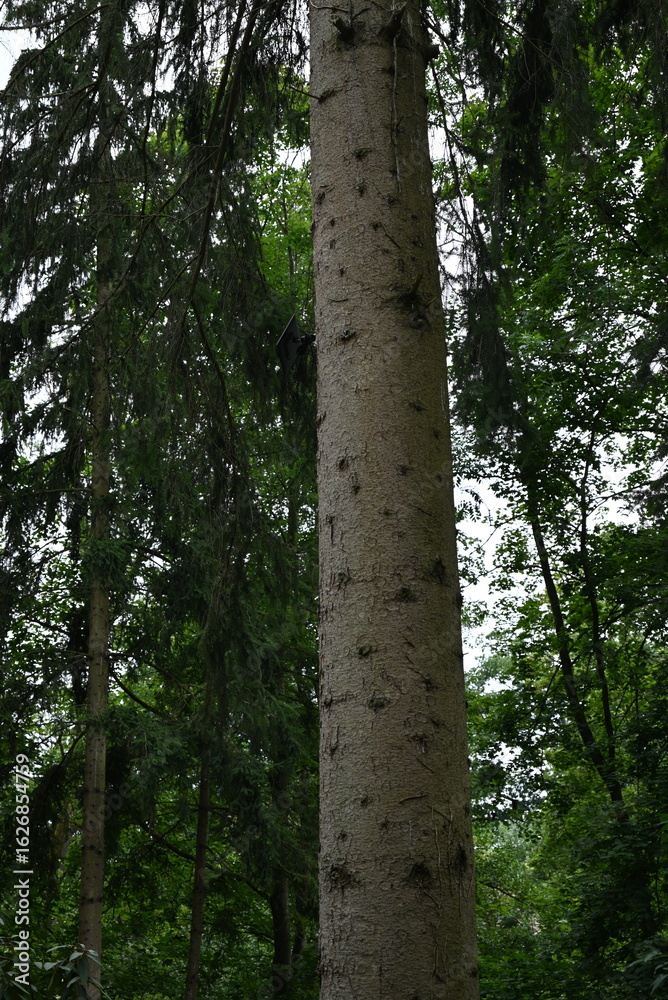Fototapeta premium Technologieeinsatz in der Natur