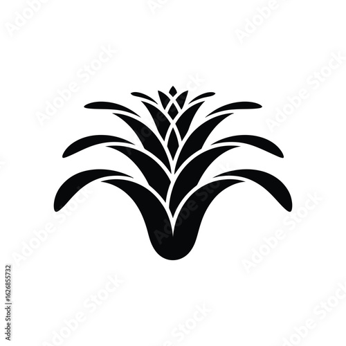 bromeliad vector silhouette