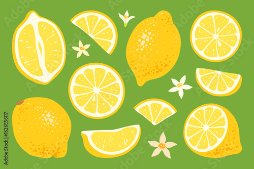 Lemon stickers set, lemons slices with flowers on green background Fresh citrus fruit. Ingredient for making lemonade. Vitamin C healthy food. Hand drawn vibrant illustration in flat style