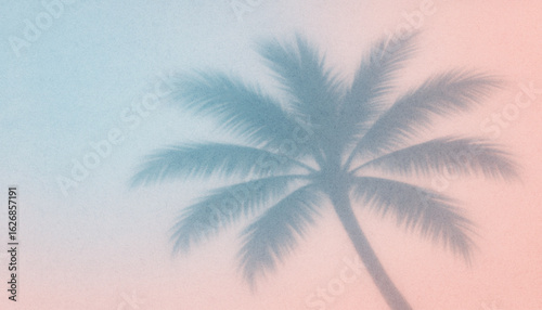 Pastel gradient background palm tree. Minimalist abstract tropical design summer beach vacation. Wall decor, wallpaper, social media, web design, advertisement.