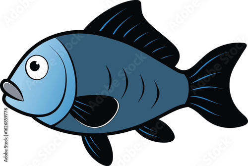 fish vector illustration