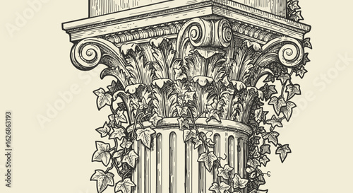 Ornate Column Capital with Ivy Detailed Engraving Style Illustration.