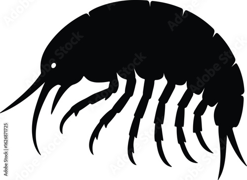 Silhouette Gammarus oceanicus sea flea black vector Illustrator