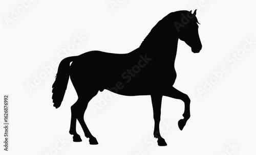 Rearing horse silhouette, wild stallion, black animal, black horse silhouette