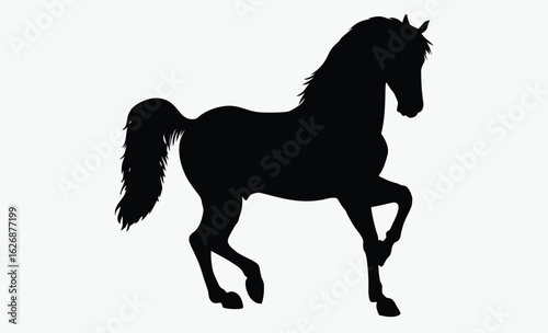 Rearing horse silhouette, wild stallion, black animal, black horse silhouette