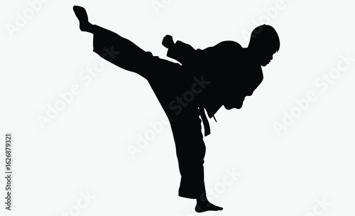 karate man silhouette, martial arts, taekwondo pose, silhouette men karate fight taekwondo vector 