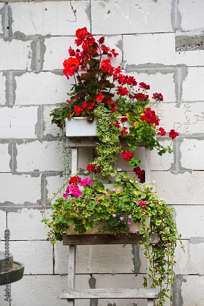 Naklejka premium Flower composition using various plants in wooden rectangular containers