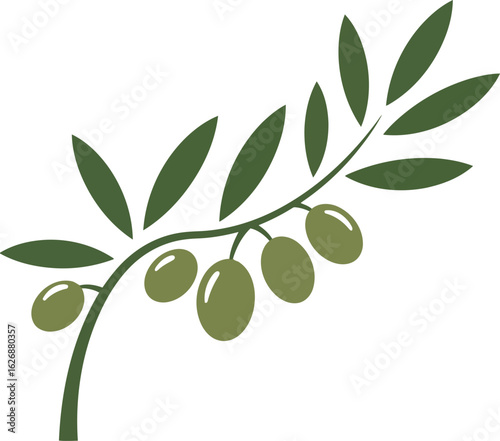 Olive branch with green olives vector illustration