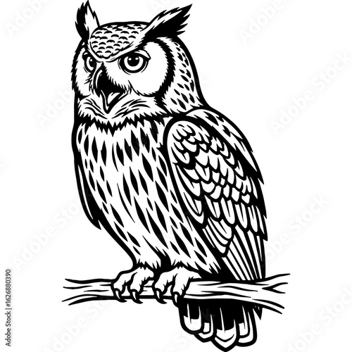 Detailed black and white vector illustration of a majestic owl perched on a branch, capturing its nocturnal wisdom and mysterious nature.