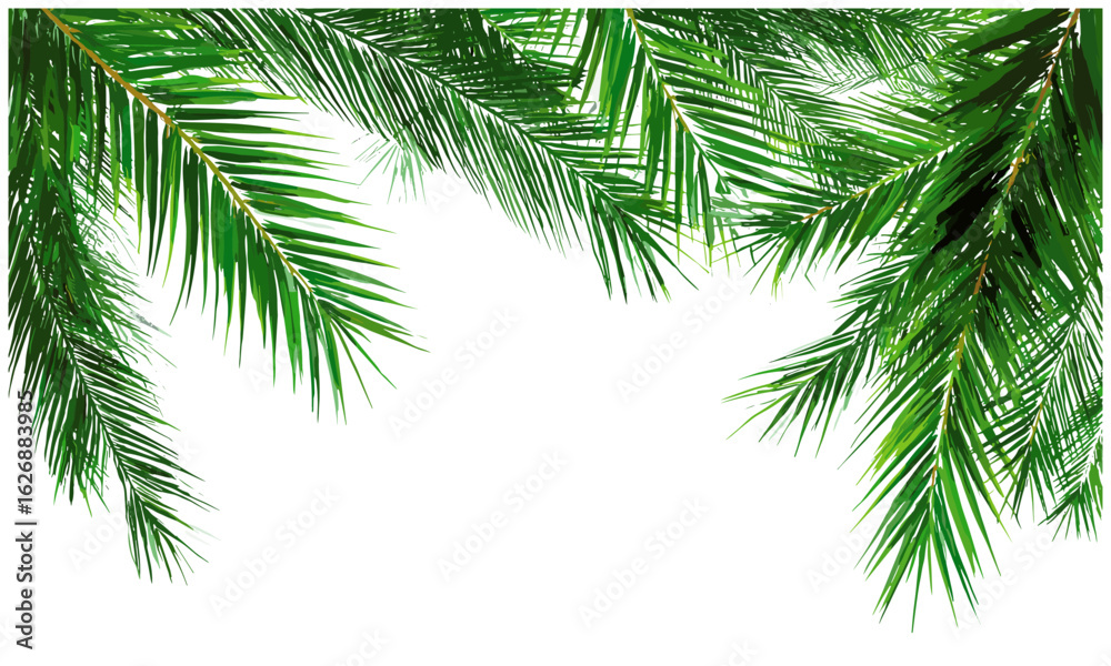 Tropical palm leaf frame border design isolated on white. Green palm branches summer element. Exotic botanical plant PNG for garden, holiday, island, jungle, nature, travel, vacation, tropical theme Tropical palm leaf frame border design isolated on white. Green palm branches summer element. Exotic botanical plant PNG for garden, holiday, island, jungle, nature, travel, vacation, tropical theme