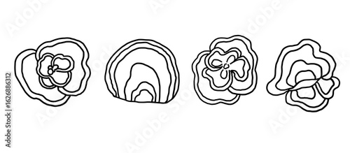 Trametes versicolor or Turkey tail mushroom set on isolated background. Hand drawn tinder fungus, Coriolus versicolor. Medical ingredient of Chinese medicine, tea. Vector illustration for logo, label
