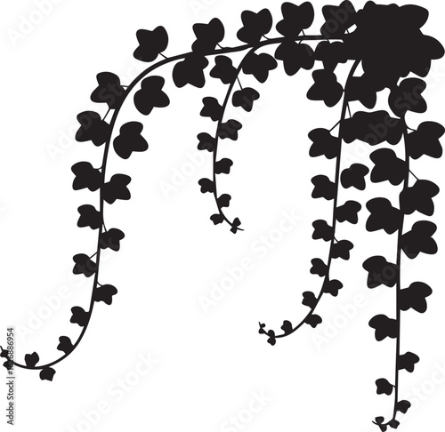 Black Silhouette of Cascading Ivy Vines with HeartShaped Leaves
