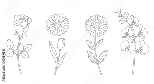 Elegant Floral Line Art Collection Rose Daisy Tulip and Orchid Designs
