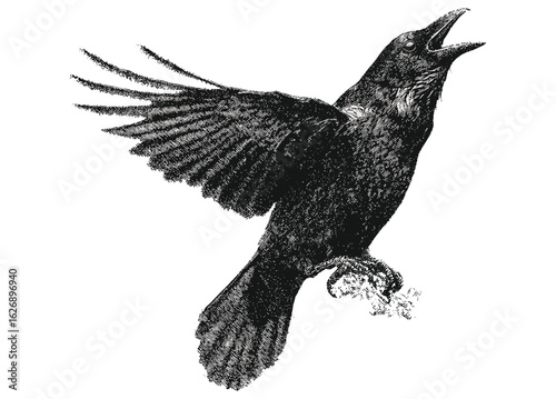 Psychedelic raven collage with vintage stippling and halftone photocopy effect. Experimental grunge dotted texture retro vector poster for Halloween horror, creepy surrealism, 90s punk style