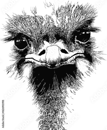 Detailed black and white illustration of an ostrich face with intricate feathers. Vector illustration