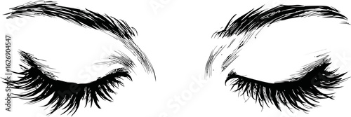 Black and white illustration of closed eyes and detailed eyelashes. Vector illustration