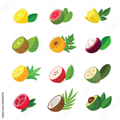 Vector set of cut halves fruits with leaves