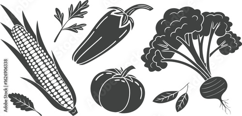 Corn pepper broccoli beet tomato parsley leaves vector