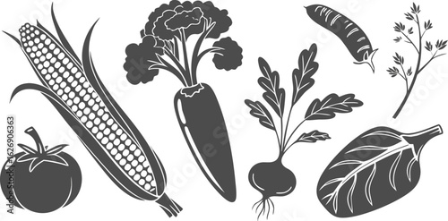Corn tomato pepper beet greens carrot dill vector