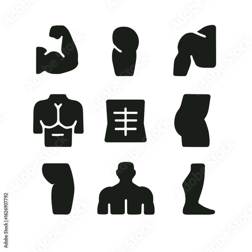 A set of glyph icons representing human muscular anatomy. Body part symbols for fitness, health, and bodybuilding concepts.