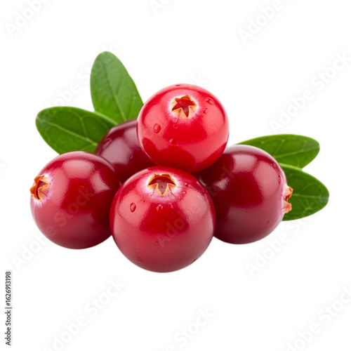 Fresh Cranberries with Green Leaves isolated on transparent background