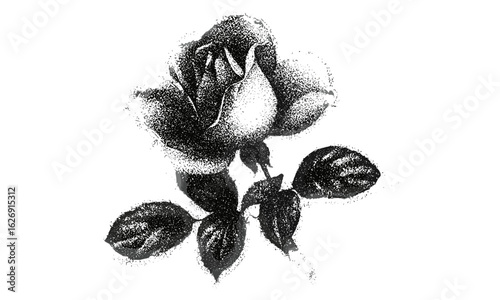 Grainy vintage stipple rose flower with retro halftone texture, designed for psychedelic 90s surreal tattoo and grunge collage posters, floral vector art, gothic punk, abstract shapes