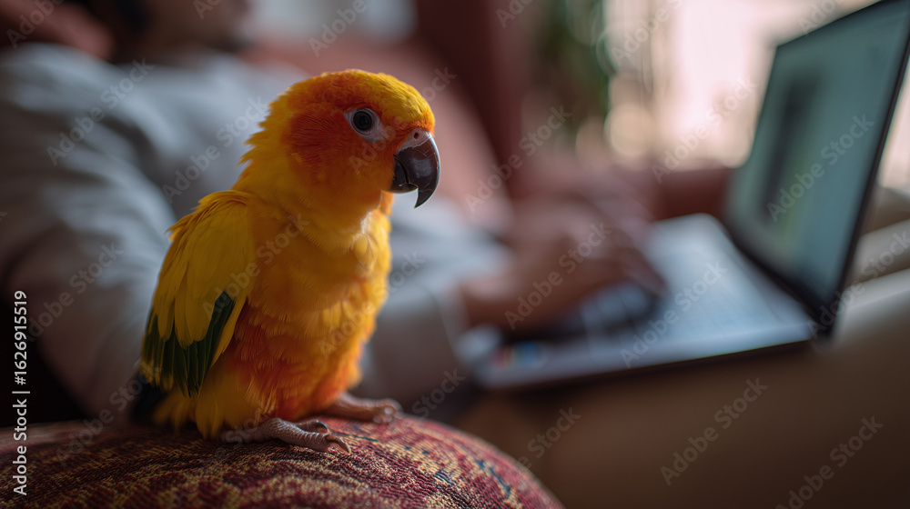 Obraz premium ai brightly colored parrot perches on couch while person works on laptop in cozy living room