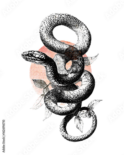 Vintage stipple halftone effect collage of a snake, with retro grainy texture and photocopy style. Vector illustration for 90s grunge psychedelic surreal tattoo or poster, cobra art,