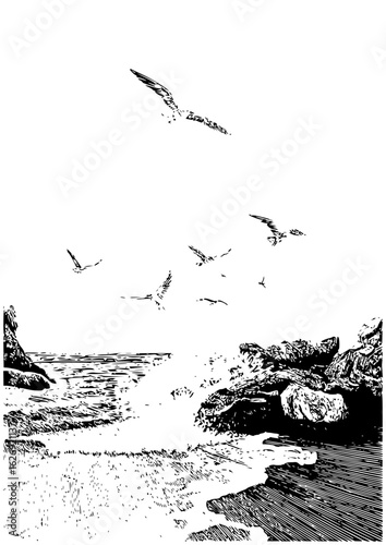 Seagulls soaring above a rocky coastline with crashing waves in a black and white illustration