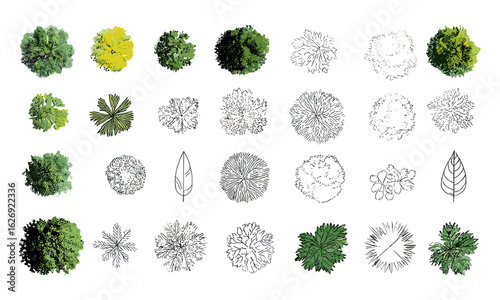 Leaf icon and tree top view vector collection for landscape architecture and garden design. Botanical plant illustrations with foliage, shrub, canopy, crown, and tropical leaf sketches for nature